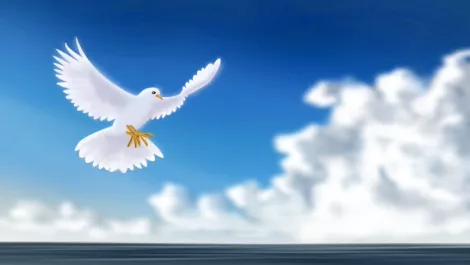 And the Kiwi channel says Dove, Dove, Dove… Part 2