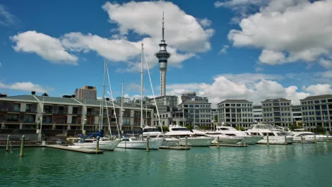 Can technology benefit from Auckland's growth?