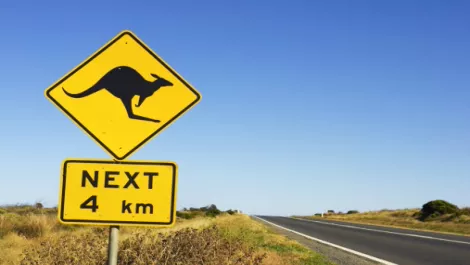 Distribution Central seals Aussie finalist award spot...
