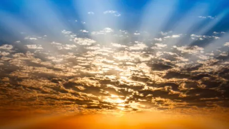 Seagate division makes ANZ cloud move with Distribution Central deal