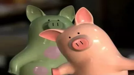Bnz pigs