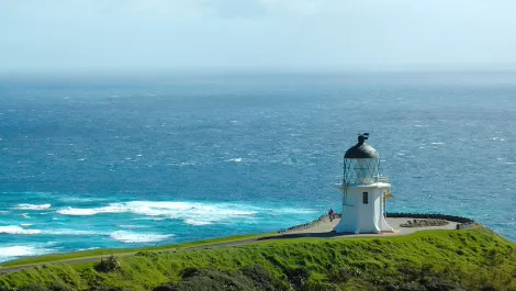 Cape reinga