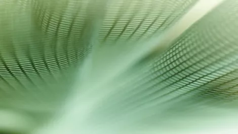 Fabric22