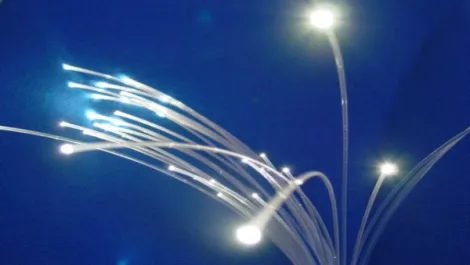 Fibre Watch: A good Rogering
