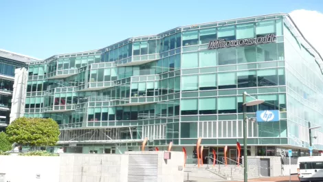 Microsoft NZ expands channel team