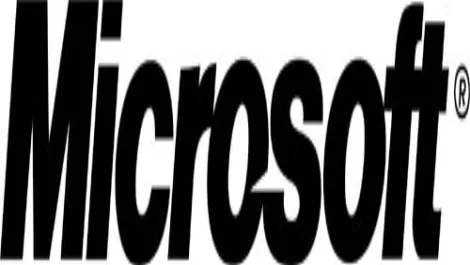 Mslogo 13