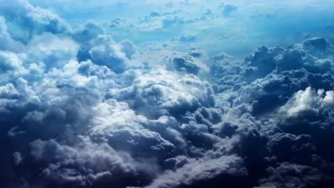 NZ-based global company moves to cloud with TechnologyOne