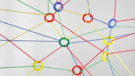 New research scheme launched for SMB research