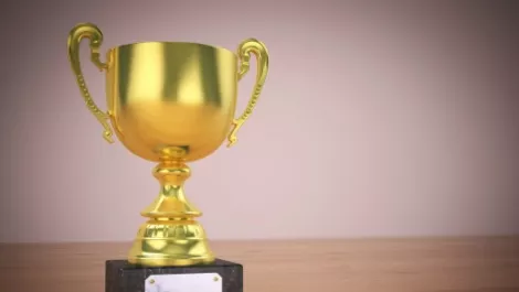 Ingram Micro claims top Veritas APJ distie award