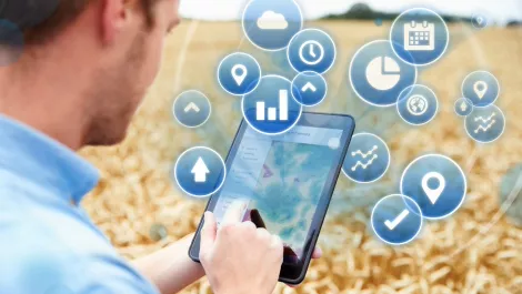 Thinkstockphotos 515824120 dfa7l9u