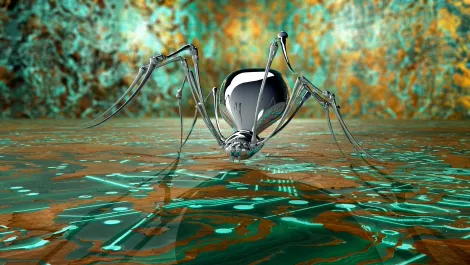 Network spider