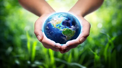 Thinkstockphotos 479711637