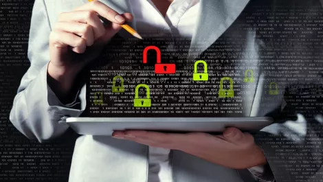 Kiwi cyber security firm launches awareness initiative for businesses