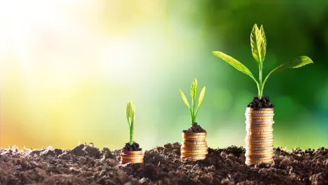 Healthy growth posted for India's networking market