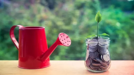 Thinkstockphotos 492885044