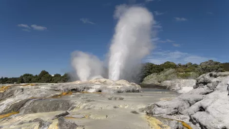 Rotorua Council has 'eye on digital future' with new Aussie partnership