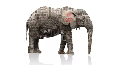 Big data elephant