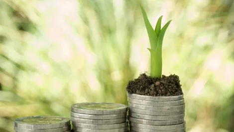 ANZ markets forecast to log higher IT spending growth over coming year