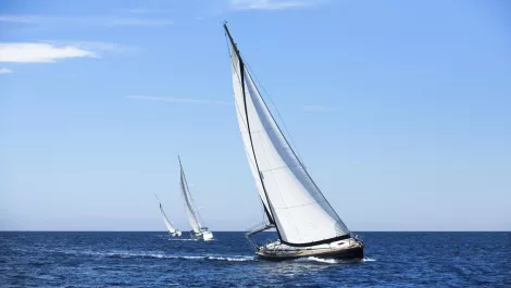 Thinkstockphotos 465659212