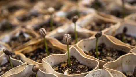 NZ's first social impact investment fund goes live