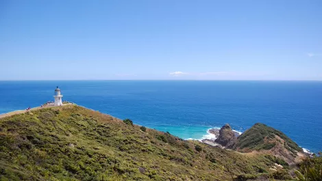 Thinkstockphotos 511071926