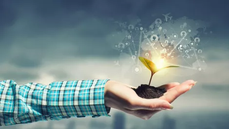 Silicon Valley connection key to Kiwi growth, says expert