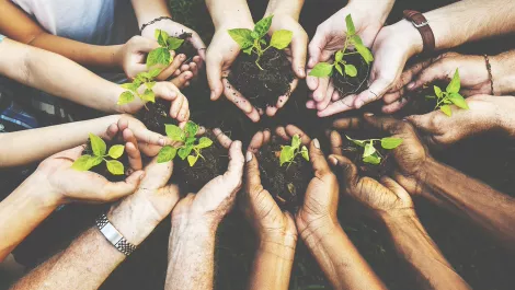 New Zealand to get a boost on global impact investment stage