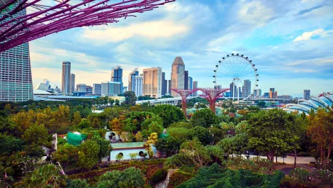 Singapore Tourism Board calling Kiwis to join new pilot programme