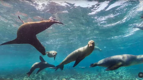 Screen shot 2019 08 14 at 11