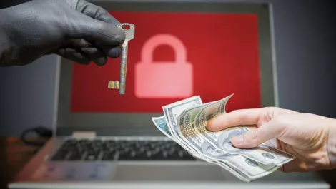 Most organisations would consider paying in ransomware attack - study