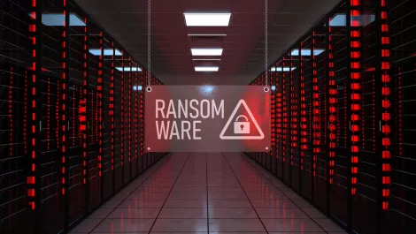 Calls for prison sentences for ransomware attacks as losses exceed $20 billion