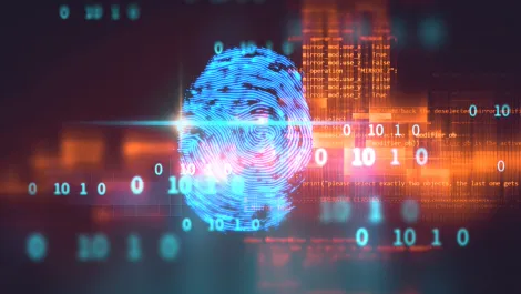 Gettyimages 958626050