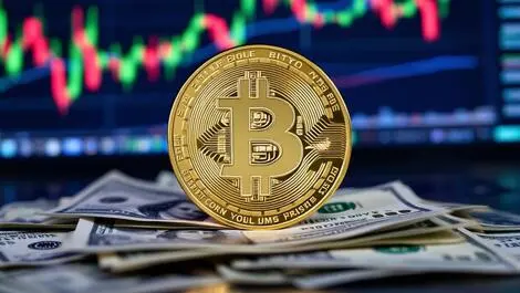 Bitcoin hits record high as stability, trust drive investor shift